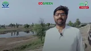 Daewoo Waste Management&rsquo;s Special Cleanliness Drive in Jhang - Suthra Punjab Project