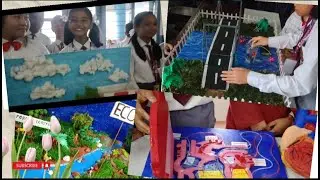 Exhibition at Don Bosco Higher Secondary School Haflong #lakshyatensubam