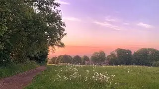 a playlist for living in the countryside 🍃a quiet life playlist