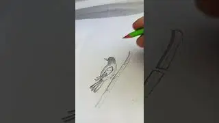 easy Birds drawing #art #drawing