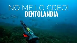 INCREIBLE banco de dentones  - pesca submarina