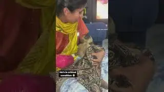 critical condition 🥺 / #shorts #shortfeed #animal #rescue #monkey