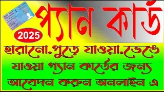 হারানো PAN Card, ছিঁড়ে যাওয়া বা পুড়ে যাওয়া PAN Card কিভাবে ফেরত পাবেন? মোবাইল দিয়েই ঘরে বসে