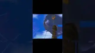 Thunder running, trying to upload daily #cool #gorillatag #gorillatagquest #funnyclips #speedyp ￼