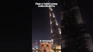 Пов: у тебя супер способность Сила Бога #cat #meme #memecat #memes #memescat #cats