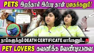 Pets இறந்தால் இப்படி தான் புதைக்கனும்! | நாய்களுக்கும் 