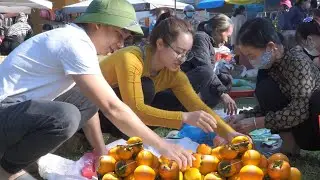 The husband's love helps his wife harvest persimmons and give the people warm blankets