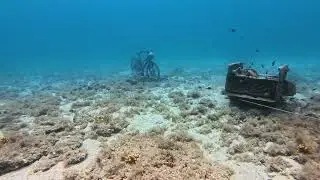 Dive With Me &ndash; The Bicycle Beneath the Sea