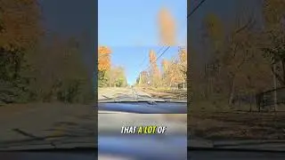Excellent Suspension: Handling Speed Bumps with Ease!