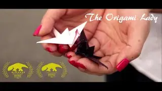 The Origami Lady