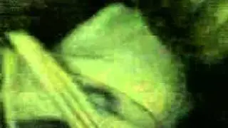 07032009002