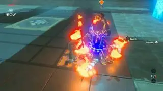 Breath of the Wild - Major Test of Strength - Wet Floor - Torch Only
