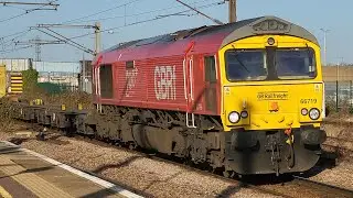 GBRF 66719 