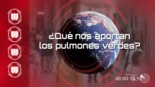 &iquest;Qu&eacute; nos aportan los pulmones verdes?