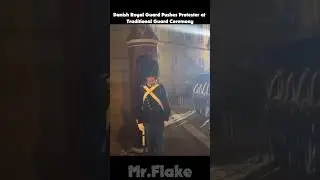 Danish Royal Guard Pushes Protester at Traditional Guard Ceremony