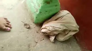 fire camping with friends in tiger garden 🤣😁