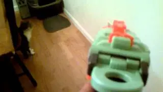 Cat Gets Shot With a Nerf Gun!!