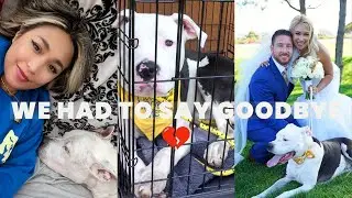 SAYING GOODBYE TO SPARTACUS 💔 + His Adoption Story