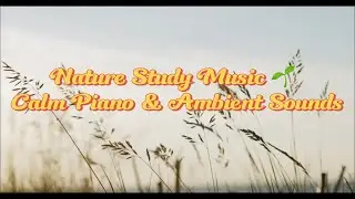 Nature Study Music 🌱 Calm Piano & Ambient Sounds