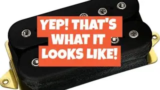 Dimarzio Pandemonium Pickup Unboxing!