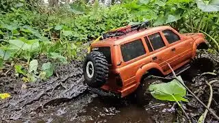 Trx4 sport rc mudding 
