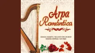 Amada Amante