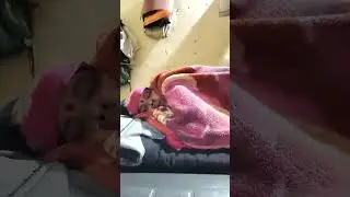 Sangeeta Nishad dancer