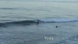 Fun Sesh 6'6