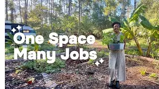 I Built a New Food Forest Guild! (Permaculture Principle #8)
