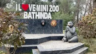 Bathinda Zoo (17/02/2026)