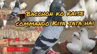 Bacchon ki training 