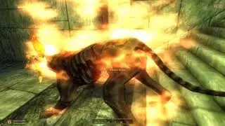 The Elder Scrolls IV Oblivion Gul'dan #38 Relmyna Verenim