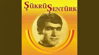 Bir Sevenim Olmadı