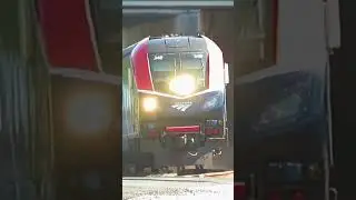 3 Different ALC-42 Schemes on One Train 4/30/25 #trains #amtrak #railfan