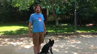 pasear con el perro -adiestramiento canino-#2