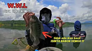 IKAN DI SINI TIDAK ADA YANG KECIL ISINYA BABON SEMUA ❗️❗️❗️mancing ikan nila di waduk Wadas Lintang