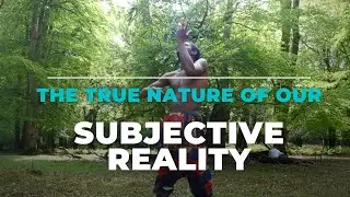 What is the true nature of our subjective reality?