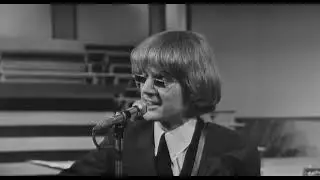 The Byrds - Mr. Tambourine Man (The Big T.N.T. Show 1966)
