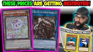SUPREME DARKNESS DAY 1 PRICES ARE CRASHING DOWN HARD & SUPER FAST! | Yu-Gi-Oh! Market Watch!
