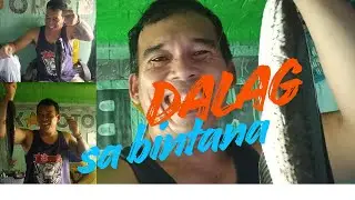 Isdang Dalag huli