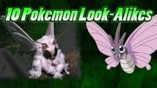 10 Pokemon Look-Alikes!!