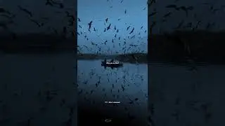 Tadow - Masego, FKJ | lyrics | whatsapp status | aesthetic | English songs | Slowed | #ytshorts