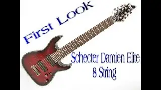 First Look at the Schecter Damien Elite 8 String
