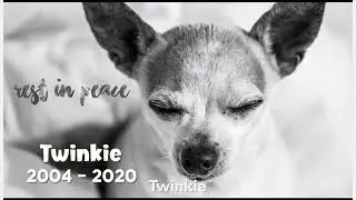 R.I.P Twinkie