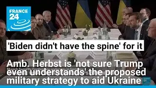 Ukraine could 'drive out' Putin if US armed Ukraine 'to the teeth', allowed attacks deep into Russia