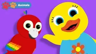 Learn Animals With Tillie The Duck | Animal Names & Sounds | Early Learning Videos for Toddlers