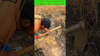 Metal Searching Experience | Equinox 600 Detector #youtubeshort #treasurehunt #yt #treasuretrove