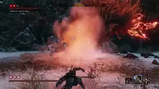 Demon of Hatred vs. guy on ng+