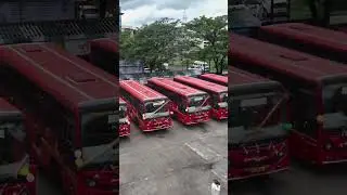 MSRTC BS6 Nrushinhwadi Bus Depot #msrtc #bus #busfanning #reels