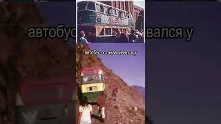50 дней на рейсовом автобусе слабо?